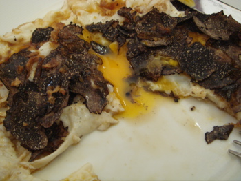 eggs with truffles