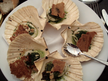 scallops at le comptoir
