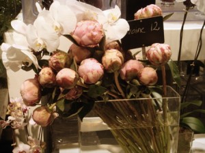 pivoines/peonies pivoines/peonies