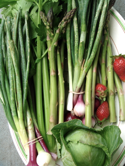 verticalmarketbounty Market Bounty