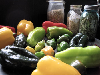 peppersprep1 peppers for Mirchi Kaa Saalan
