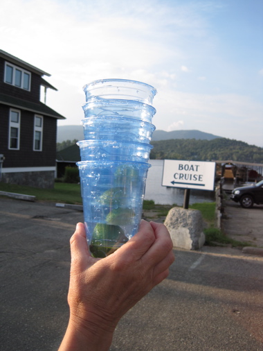 to go cups to-go cups for Salty Dog cocktails
