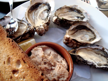 oysterhorizontal