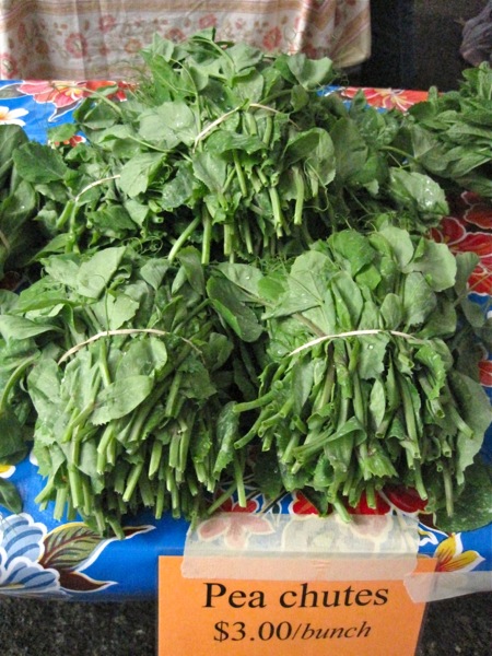 peashoots