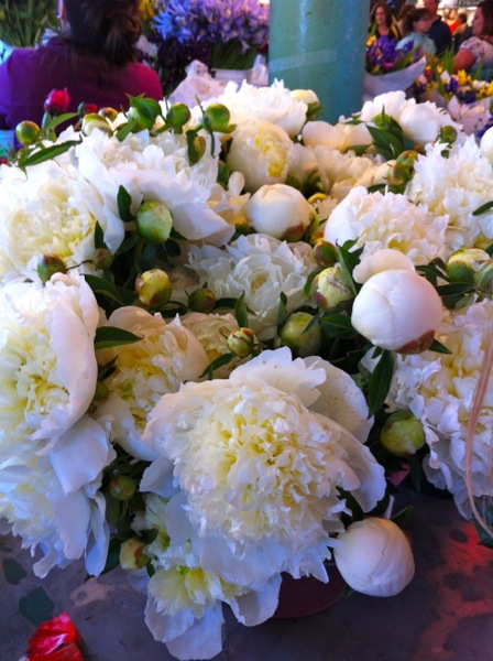 whitepeonies