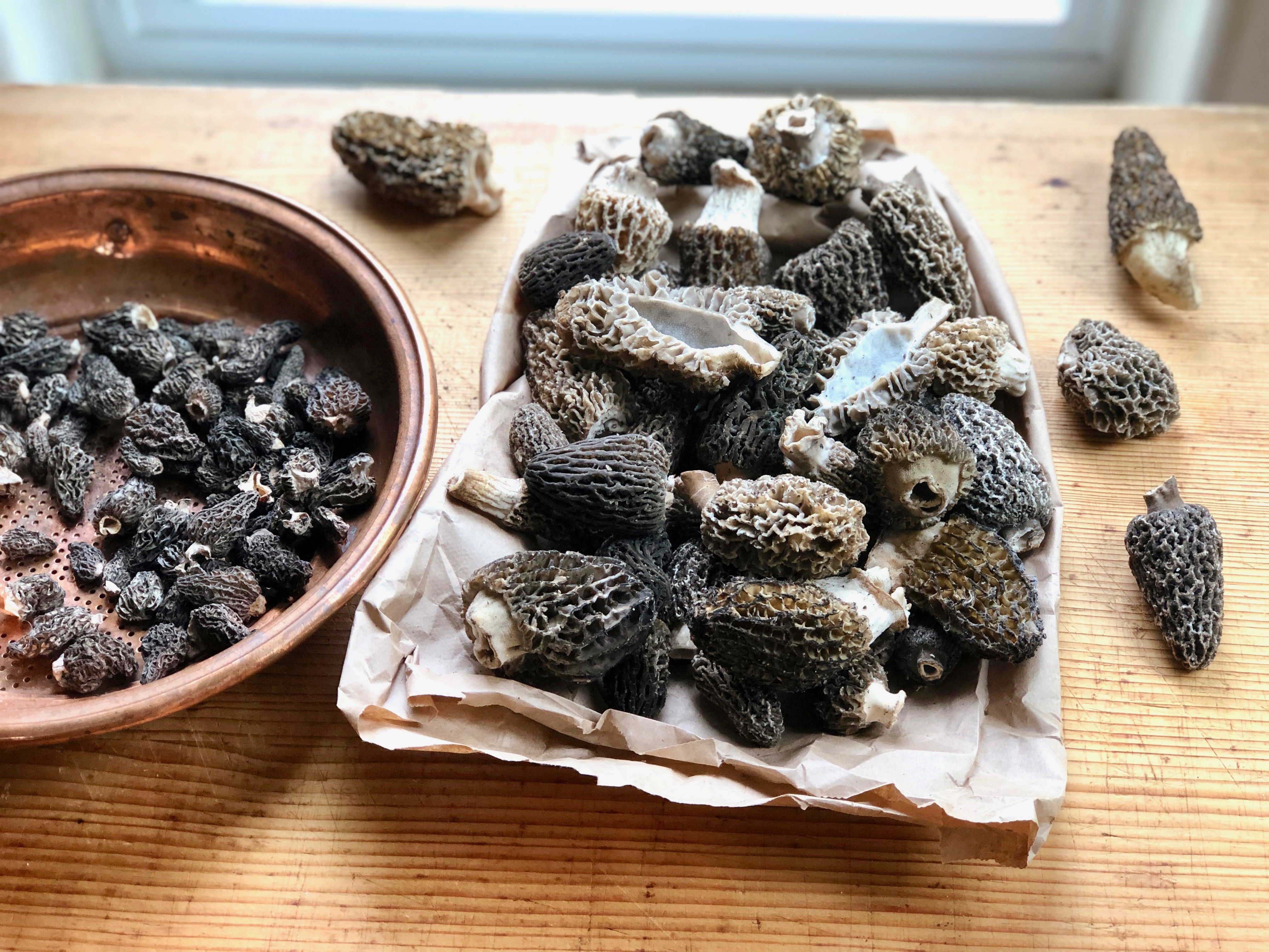 How to Dry Morel Mushrooms Without a Dehydrator